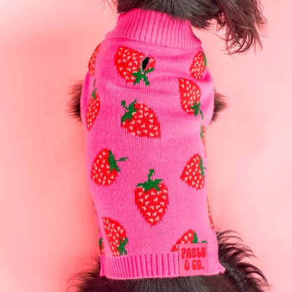 Strawberries: Sweater