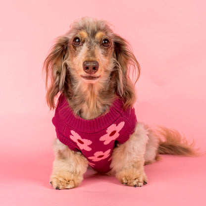 Bloom Baby Bloom: Sweater
