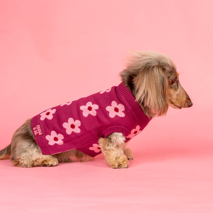 Bloom Baby Bloom: Sweater