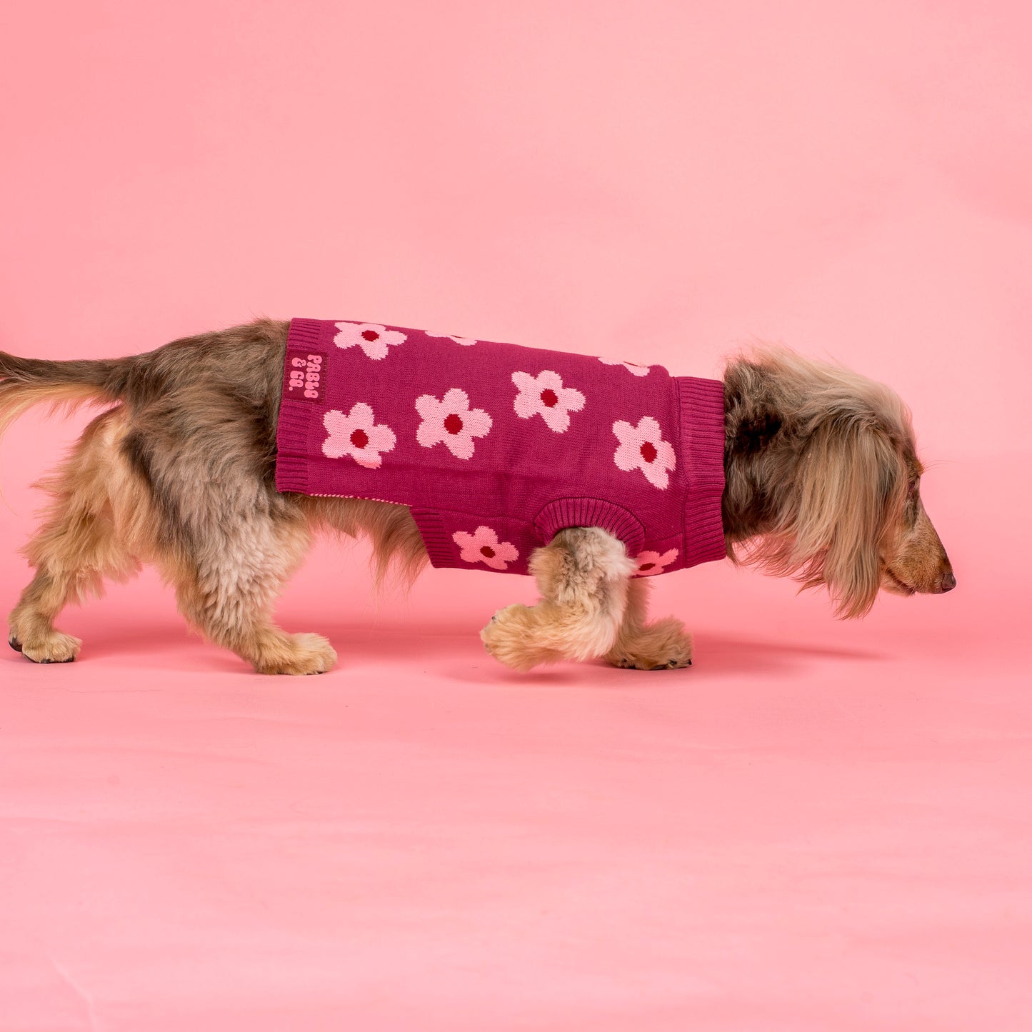 Bloom Baby Bloom: Sweater