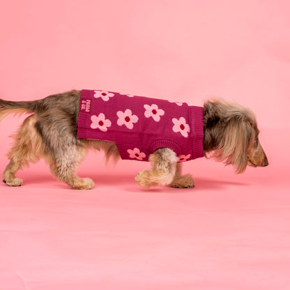 Bloom Baby Bloom: Sweater