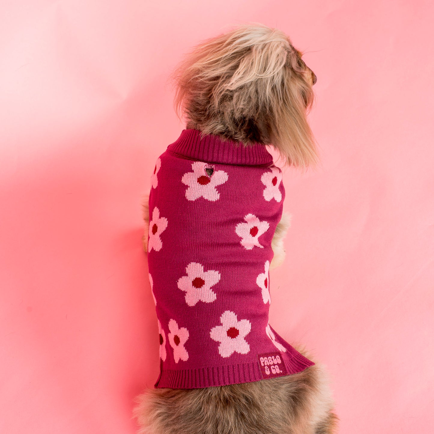 Bloom Baby Bloom: Sweater