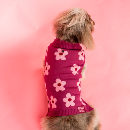 Bloom Baby Bloom: Sweater