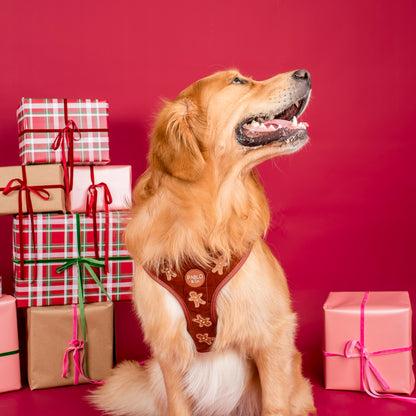 Gingerbread: Velvet Adjustable Harness