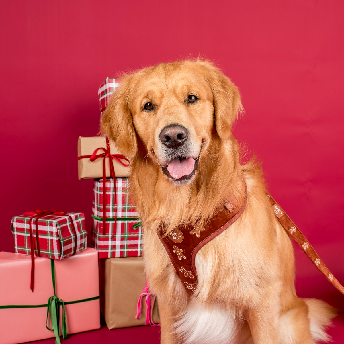 Gingerbread: Velvet Dog Leash