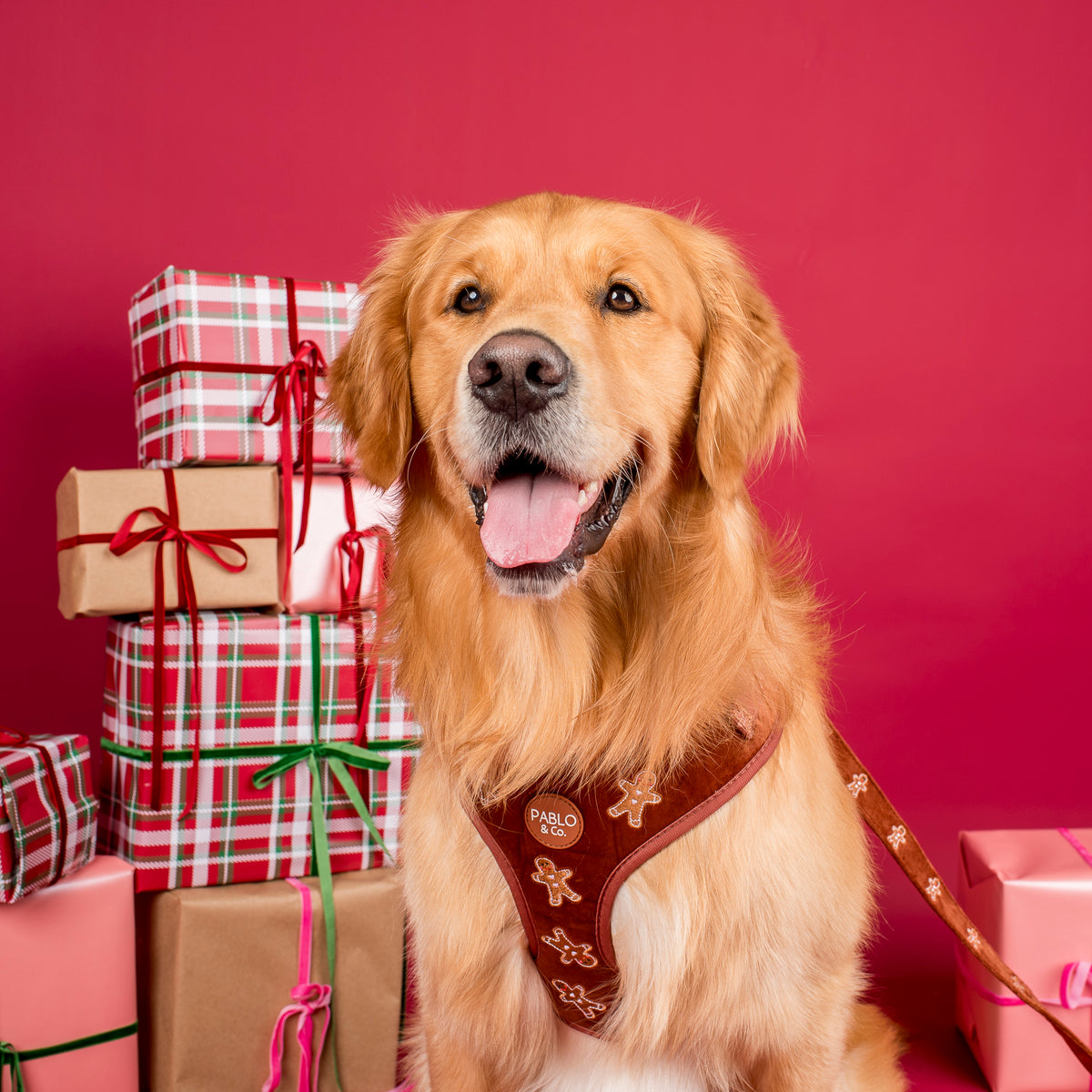Gingerbread: Velvet Adjustable Harness