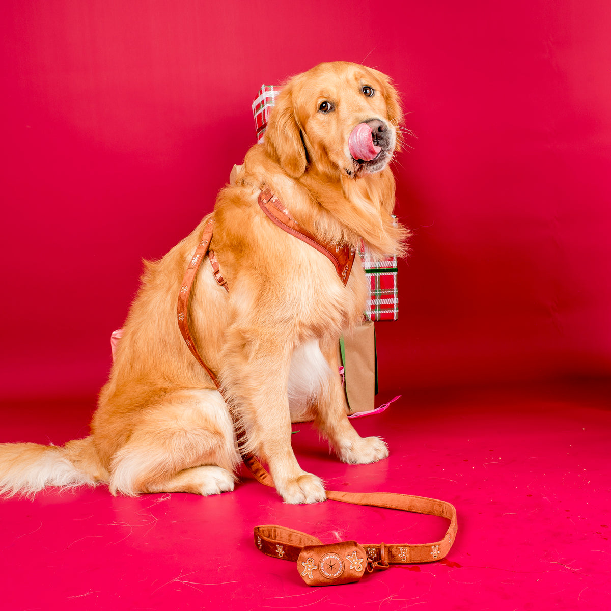 Gingerbread: Velvet Dog Leash