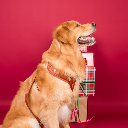 Gingerbread: Velvet Adjustable Harness