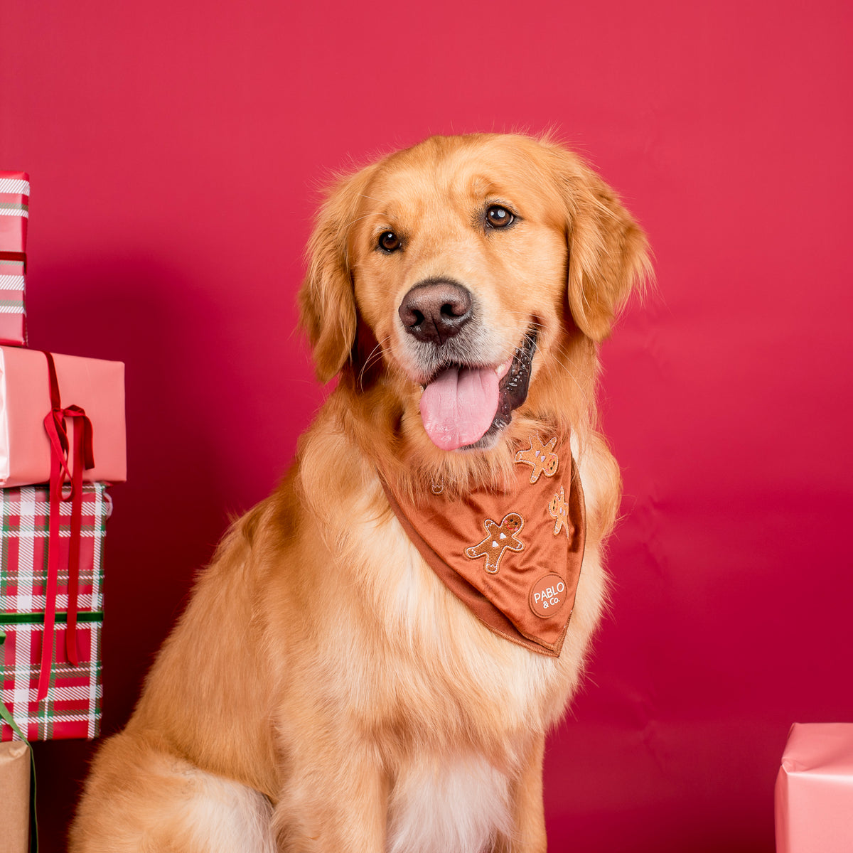 Gingerbread: Velvet Dog Bandana