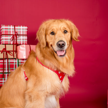 Red Polka Dots: Velvet Adjustable Harness