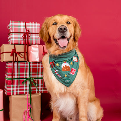 Tis' the Season: Velvet Dog Bandana
