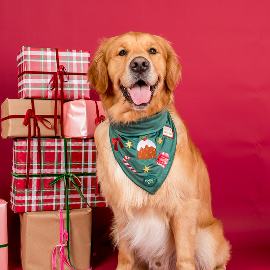 Tis' the Season: Velvet Dog Bandana