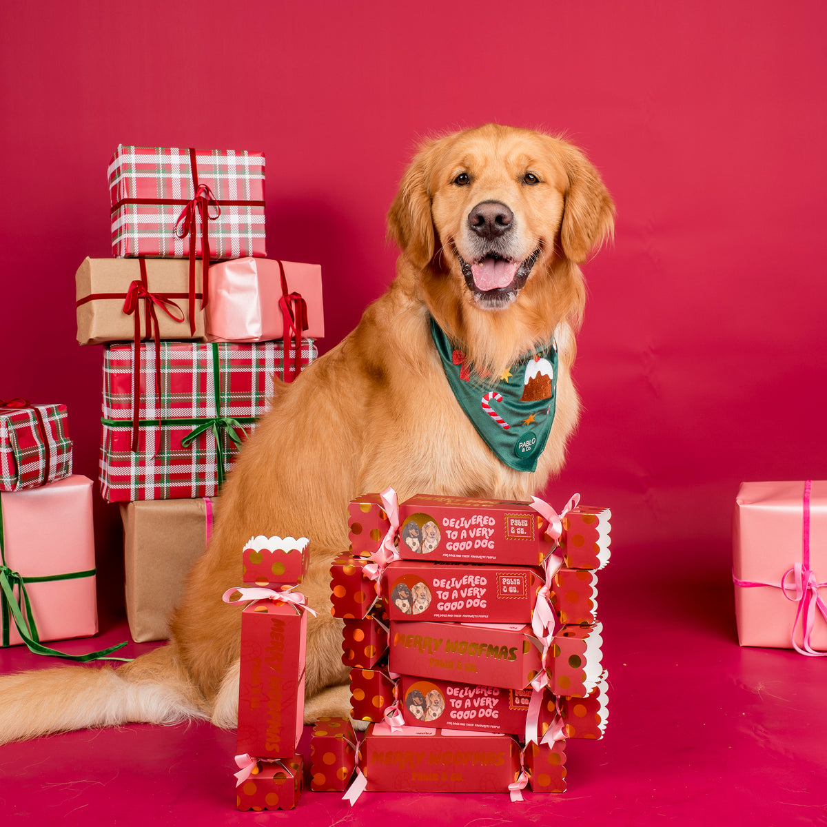 Christmas Bon Bon for Dogs