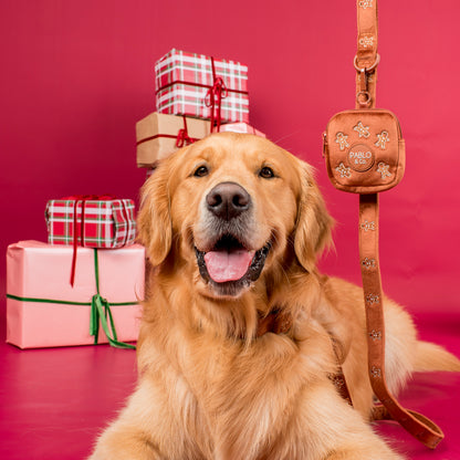 Gingerbread: Velvet Treat Pouch
