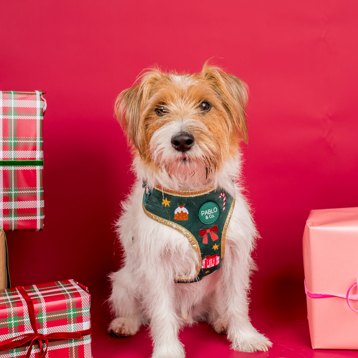 Tis' the Season: Velvet Adjustable Harness