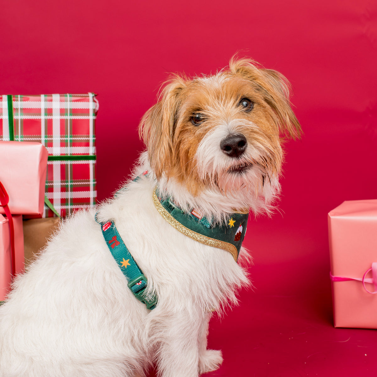 Tis' the Season: Velvet Adjustable Harness