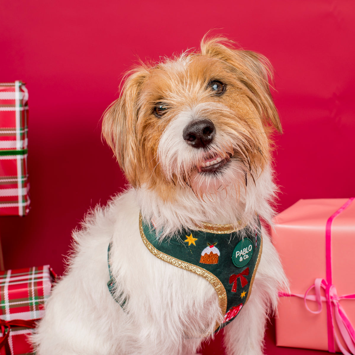 Tis' the Season: Velvet Adjustable Harness