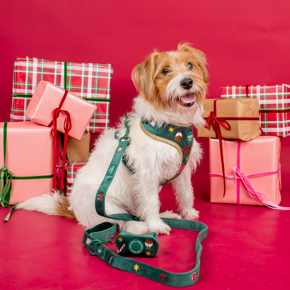 Tis' the Season: Velvet Dog Leash