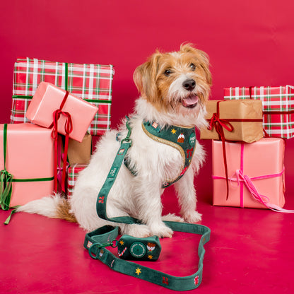 Tis' the Season: Velvet Dog Leash