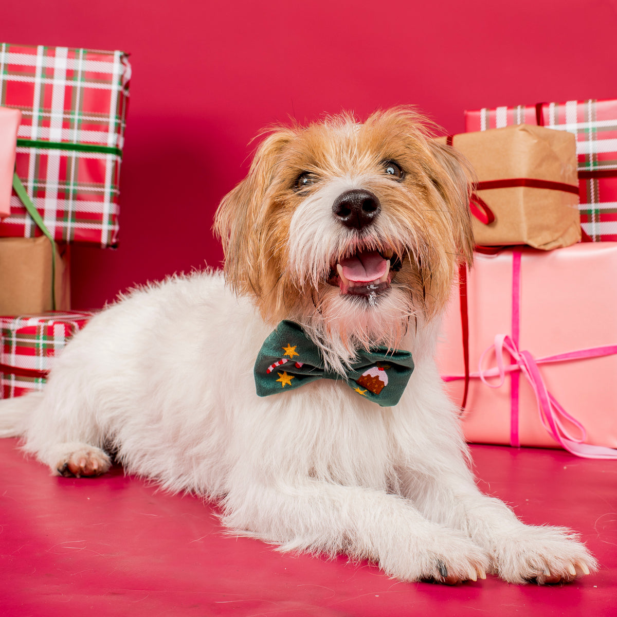 Tis' the Season: Velvet Bow Tie