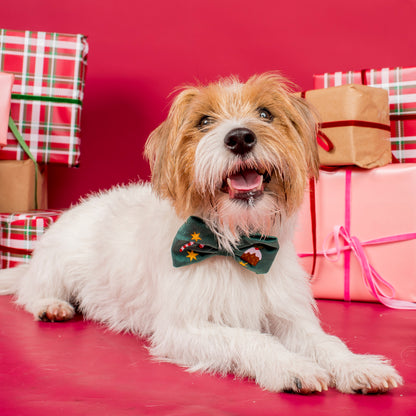 Tis' the Season: Velvet Bow Tie