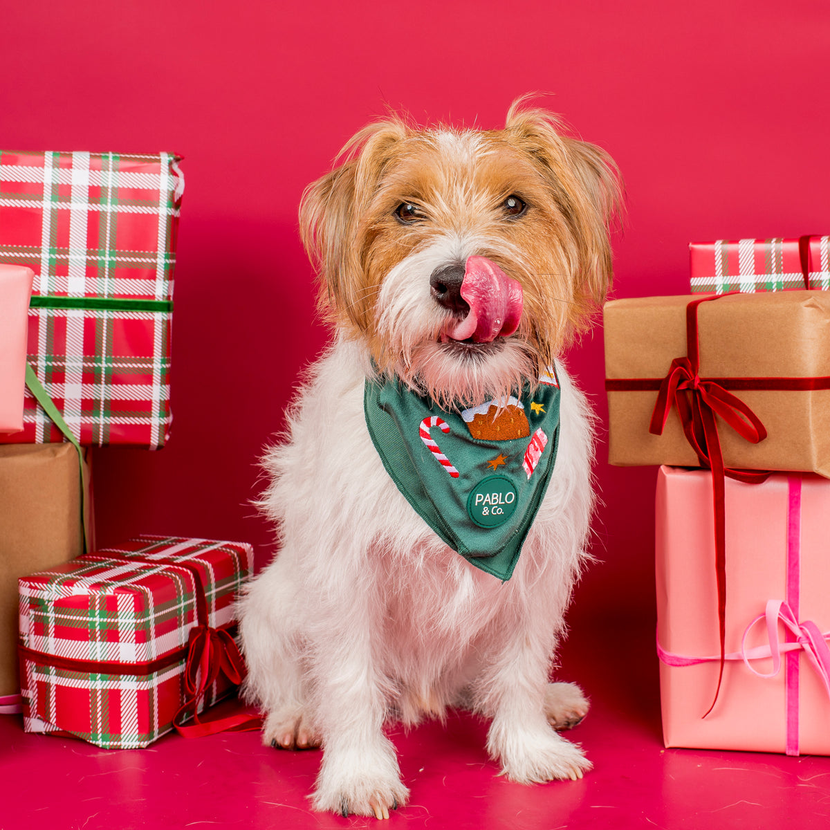 Tis' the Season: Velvet Dog Bandana