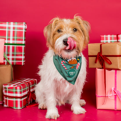 Tis' the Season: Velvet Dog Bandana