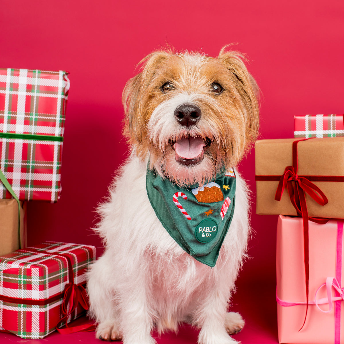 Tis' the Season: Velvet Dog Bandana