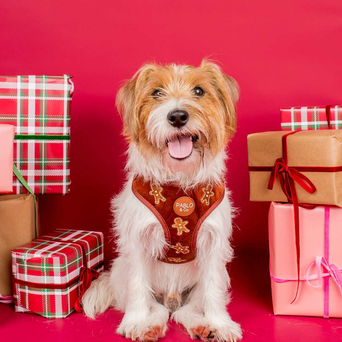 Gingerbread: Velvet Adjustable Harness
