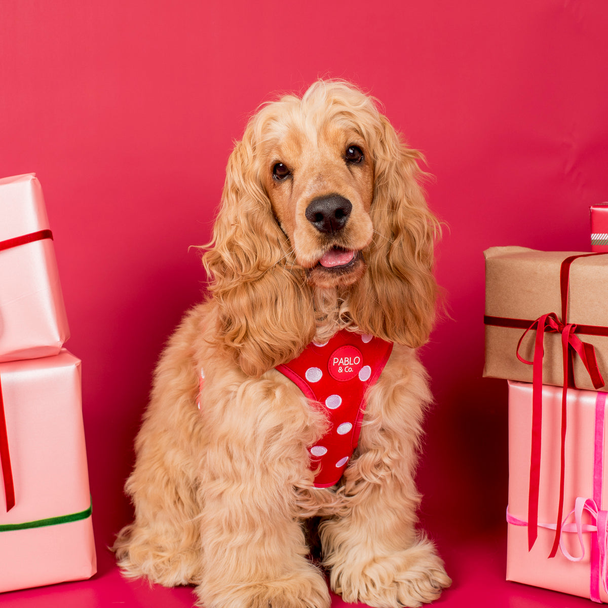 Red Polka Dots: Velvet Adjustable Harness