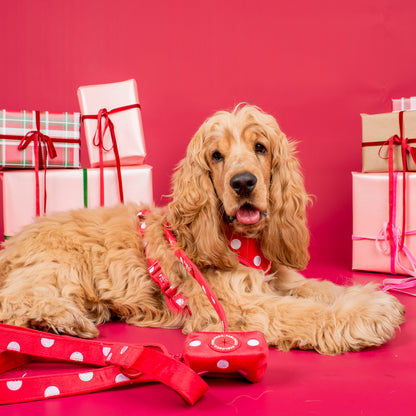 Red Polka Dots: Velvet Poop Bag Holder