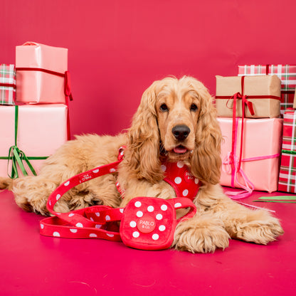 Red Polka Dots: Velvet Dog Leash