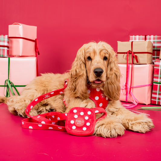 Red Polka Dots: Velvet Treat Pouch