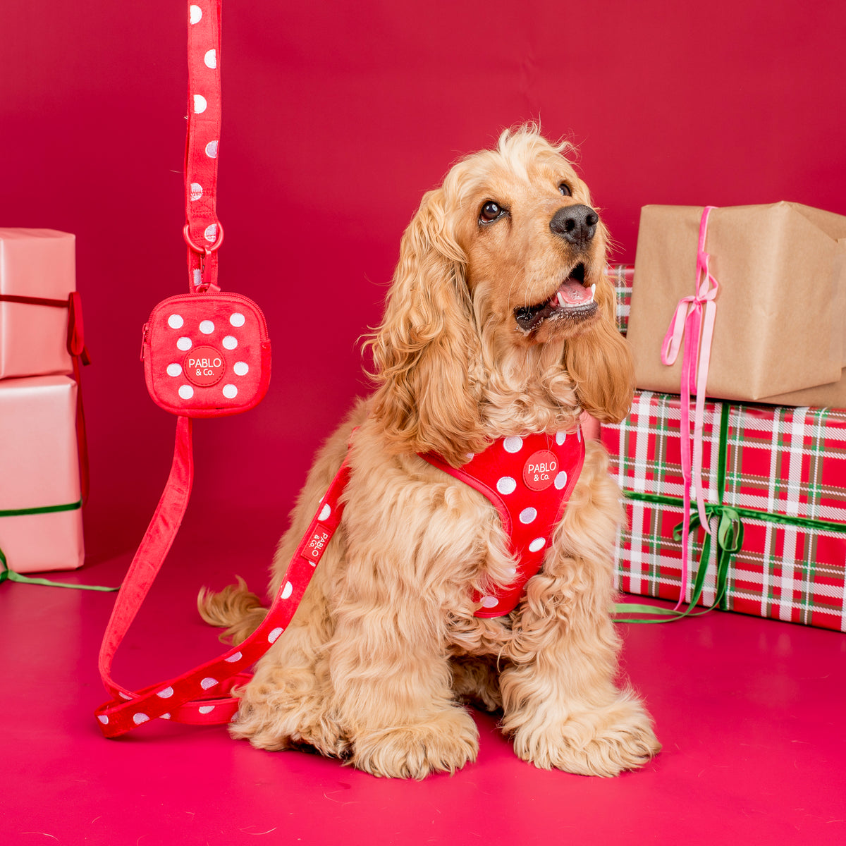 Red Polka Dots: Velvet Adjustable Harness