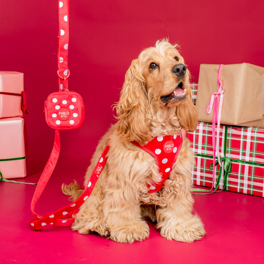 Red Polka Dots: Velvet Adjustable Harness