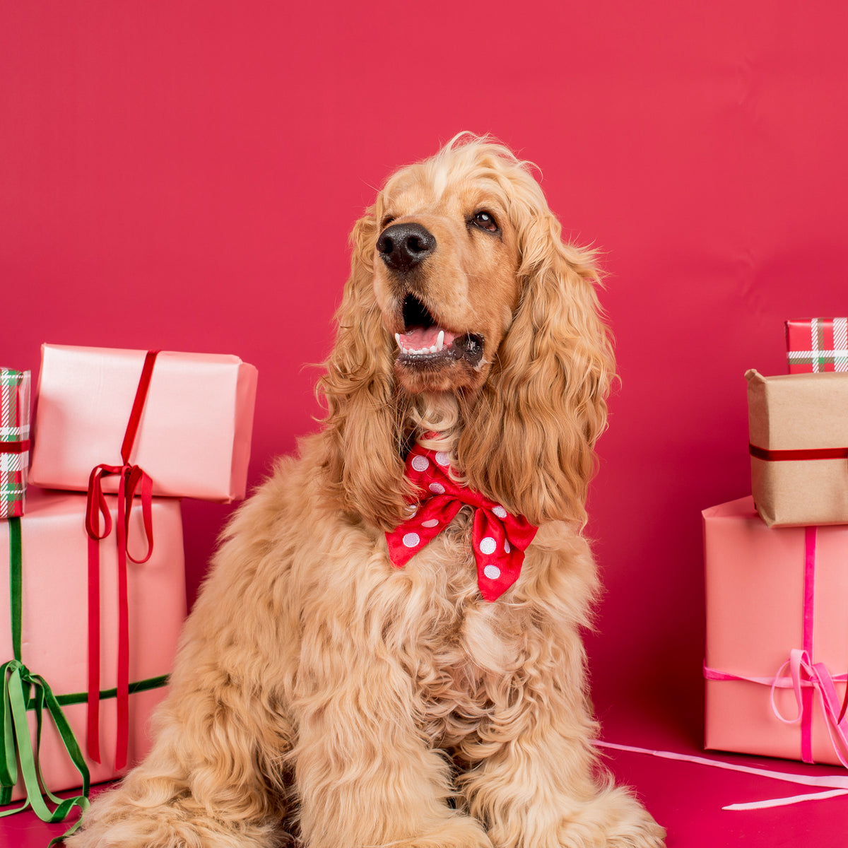 Red Polka Dots: Velvet Sailor Bow