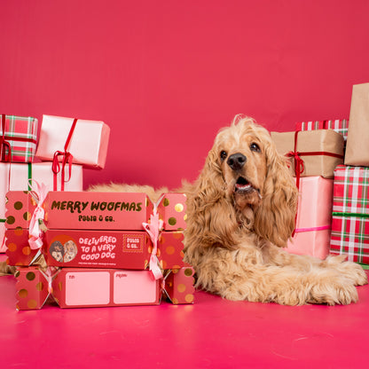 Christmas Bon Bon for Dogs