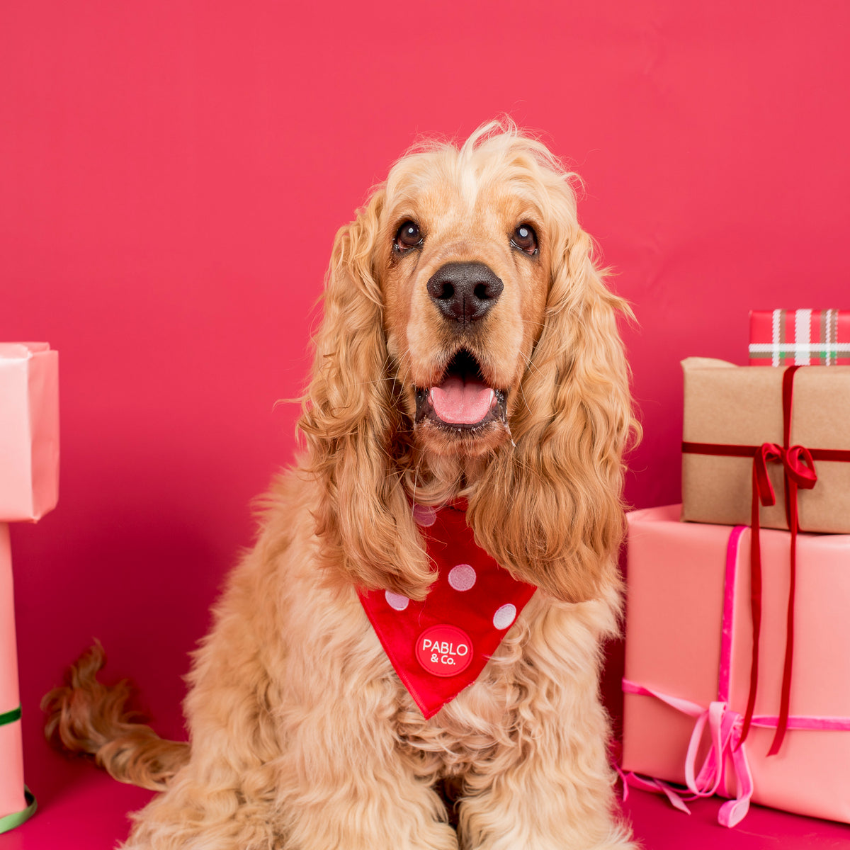 Red Polka Dots: Velvet Dog Bandana