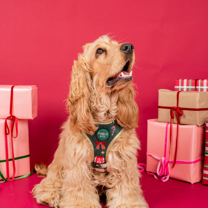 Tis' the Season: Velvet Adjustable Harness