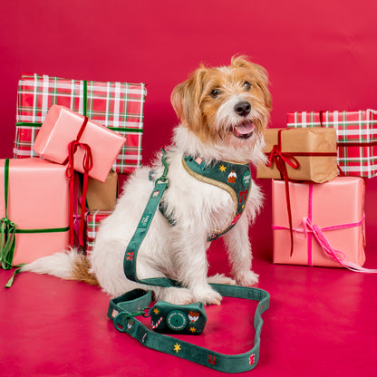 Tis' the Season: Velvet Adjustable Harness