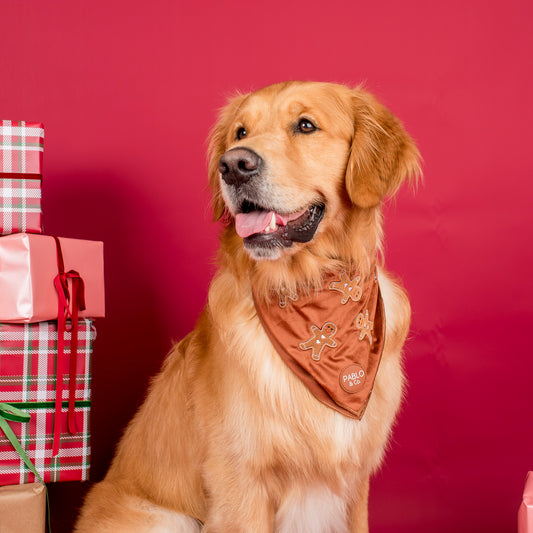 Gingerbread: Velvet Dog Bandana