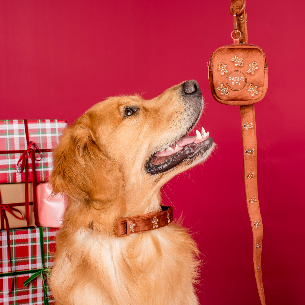 Gingerbread: Velvet Treat Pouch