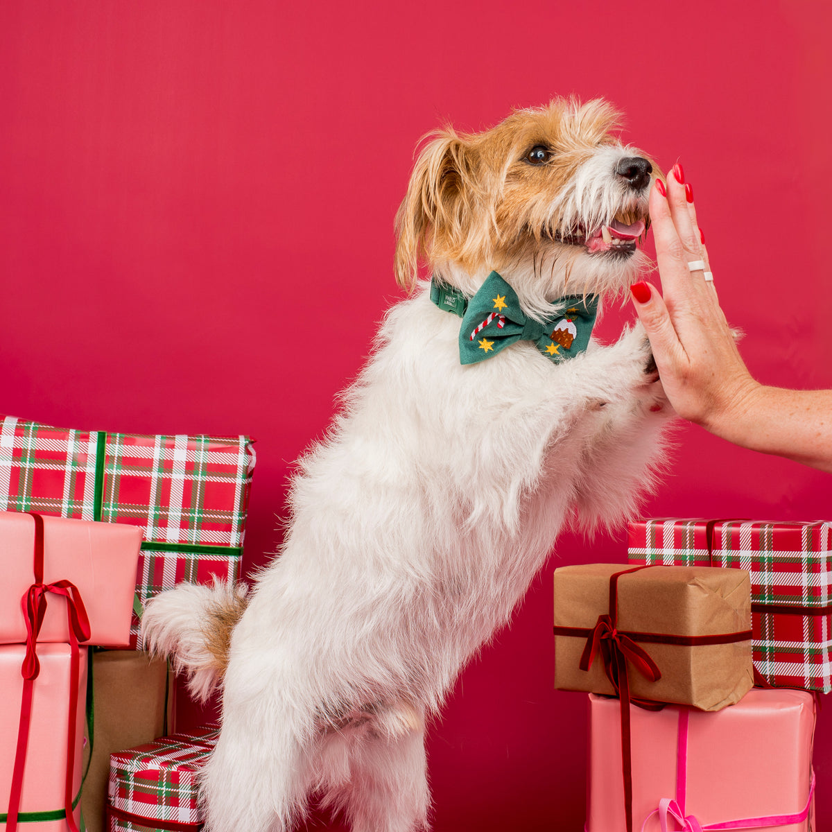 Tis' the Season: Velvet Bow Tie