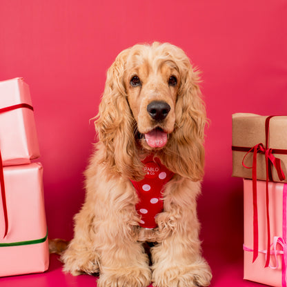 Red Polka Dots: Velvet Adjustable Harness