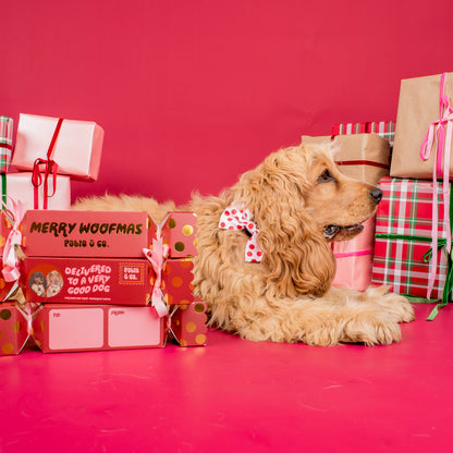 Christmas Bon Bon for Dogs