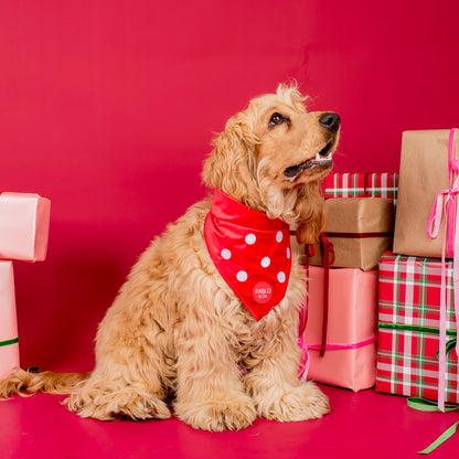 Red Polka Dots: Velvet Dog Bandana