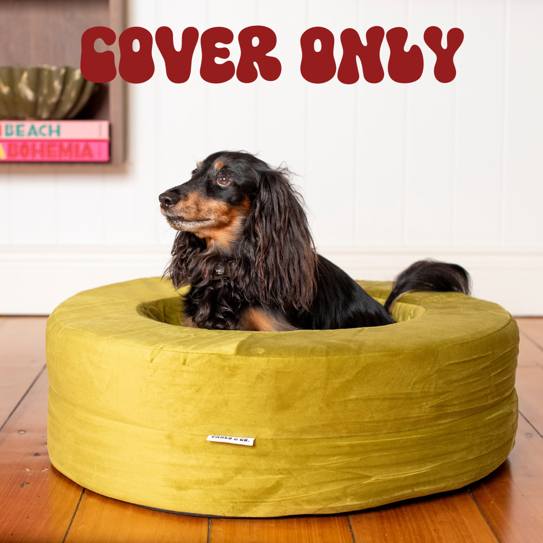 Velvet Donut Dog Bed Cover: Pistachio (cover only)