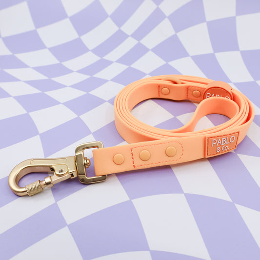 Orange Sherbet: Waterproof Leash