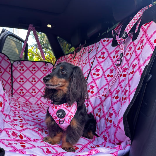 Ma chérie: Deluxe Hammock Car Seat Cover