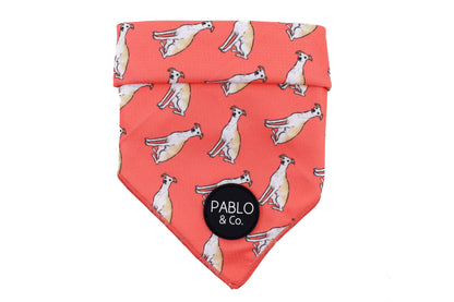 Italian Greyhound - Dog Bandana